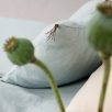 Decorative Pillows